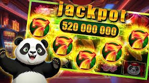 k24bet